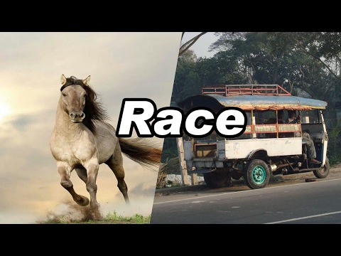 horse-and-nosimon-car-race-|-funny-videos-|-funny-jokes