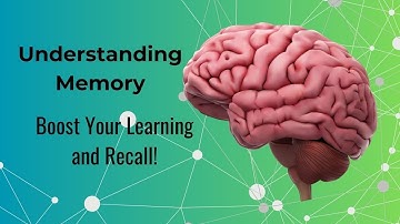 Understanding Memory: How It Shapes Our Lives and Enhances Learning