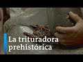 El batán: una trituradora prehistórica