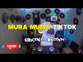 Tiktok Viral | Mura Muma Remix | Dj Ericnem