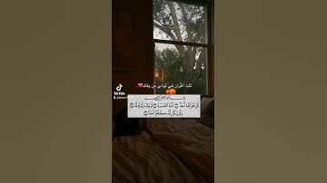 سورة الأخلاص القارئ ماهر المعيقلي ماتيسر من القرآن آيات القرآن الكريم #قران_كريم #اذكار #تذكار
