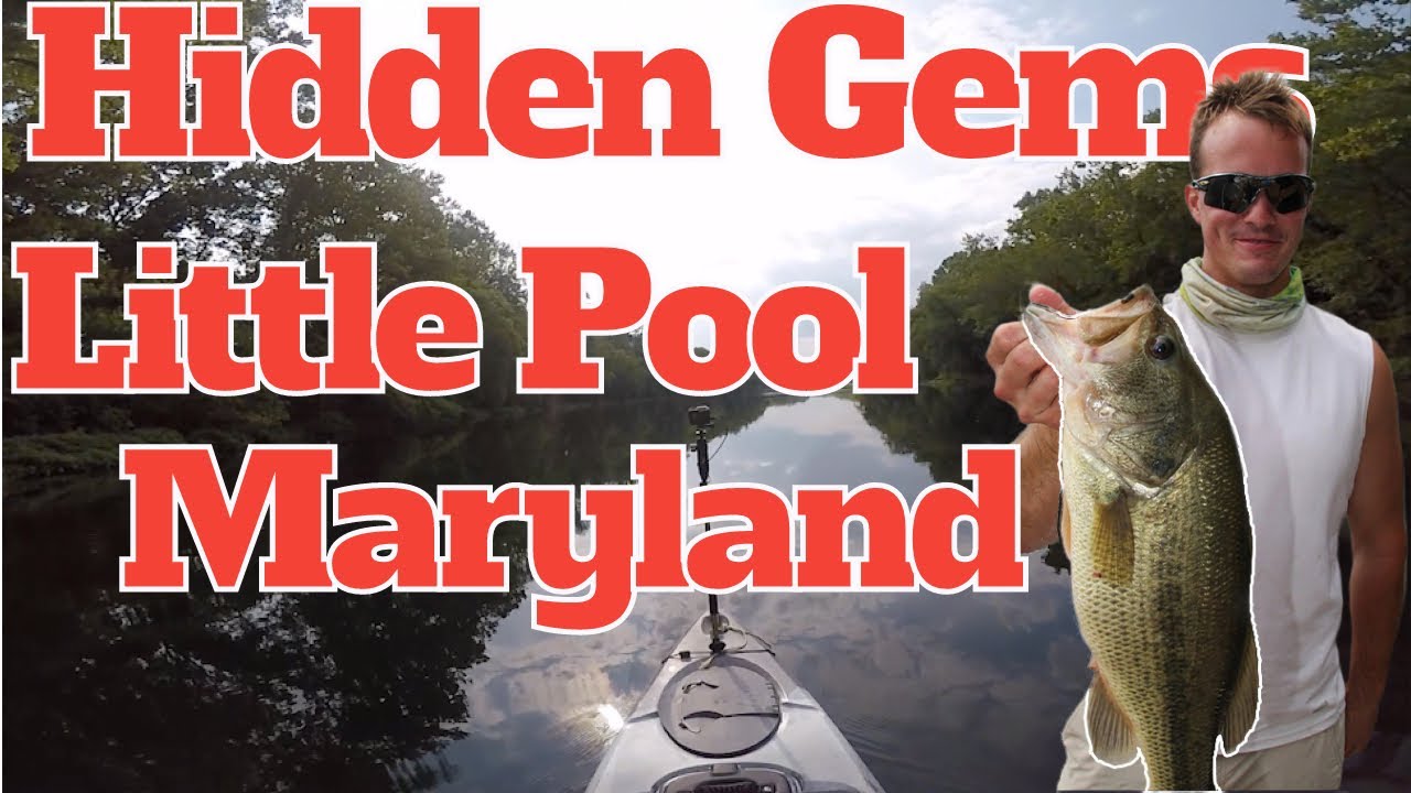 Little Pool, Maryland: Kayak Bass Fishing Adventure