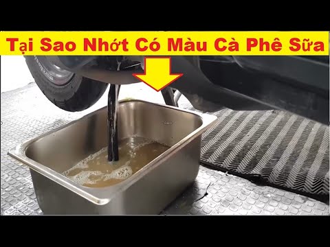 Video: Dầu máy có màu gì?