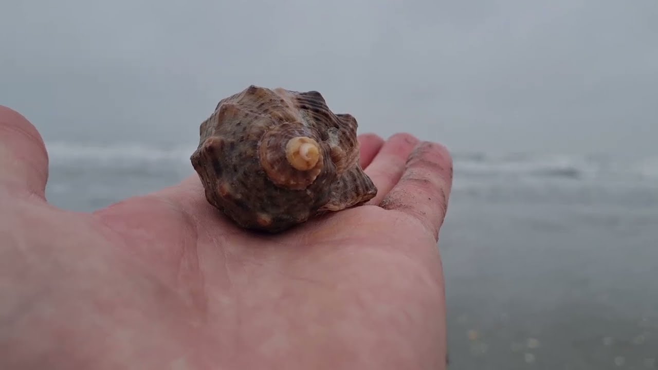 Cum este iarna la mare? Litoralul românesc în Ianuarie 2023.