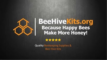 Bee Hive Kit Review - HD 1