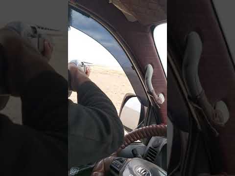 صيد القطا في جزيرة