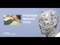 Pulsologia China. 33vo video