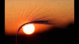 Moshic Tremendous Meanings Original Mix