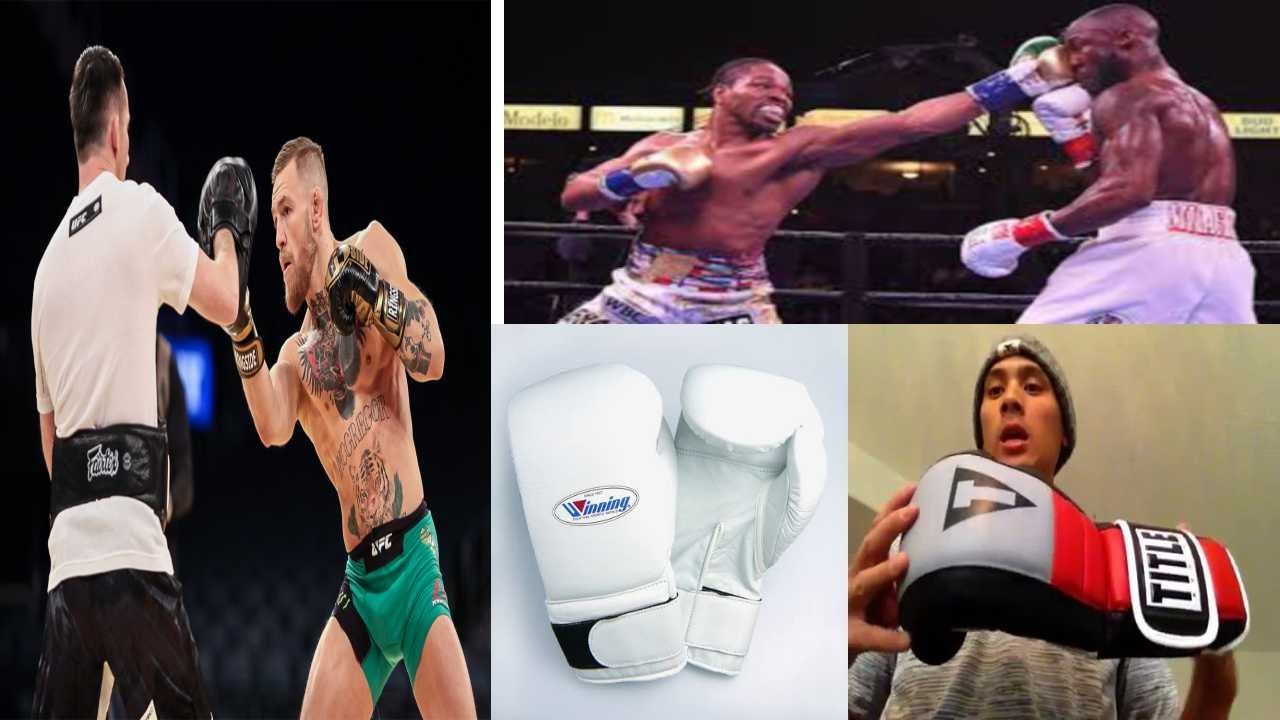 best sparring boxing gloves 2023 YouTube