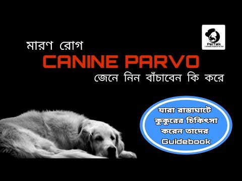 Canine Parvo | Parvo virus | ক্যানাইন পার্ভো ভাইরাস | Parvo in dogs | Pettalk Bangla