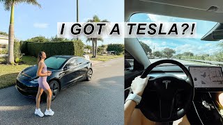 I GOT A TESLA... for a week | 2019 Model 3 | Vlog