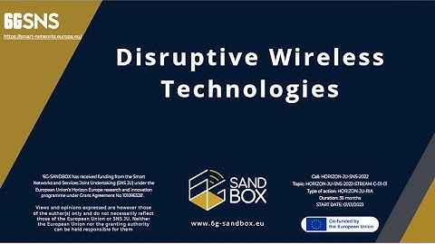6G-SANDBOX - DISRUPTIVE WIRELESS TECHNOLOGIES - RIS