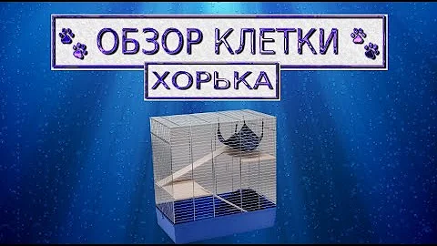 Обзор клетки для хорька!👀Что должно быть в клетке!?✔