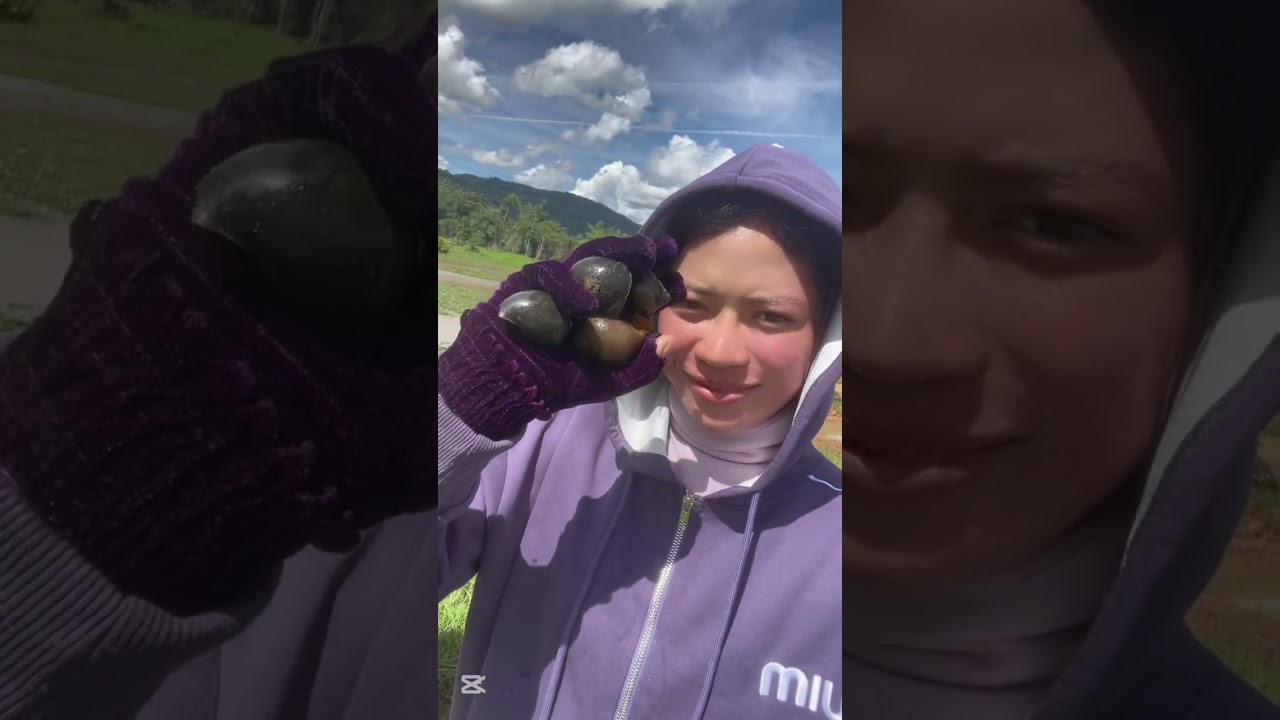 សកម្មភាពទៅរាវខ្យង🦀🐚