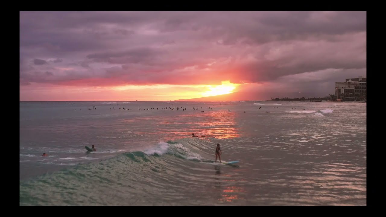 playatmidnight - WYS?