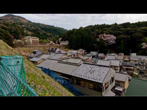 Rural life in Japan Walking Tour Kyoto Most Beautiful Area Explore With Sakura 🌸 ( Cherry blossom)
