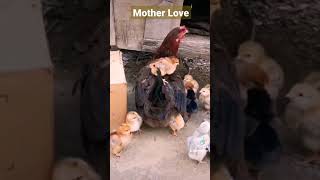 World's Pure & Real Love-Mother's Love #Shorts