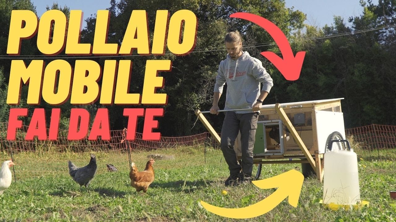 POLLAIO MOBILE FAI DA TE | Mi sono Auto costruito il Pollaio di JUSTIN RHODES in Italia
