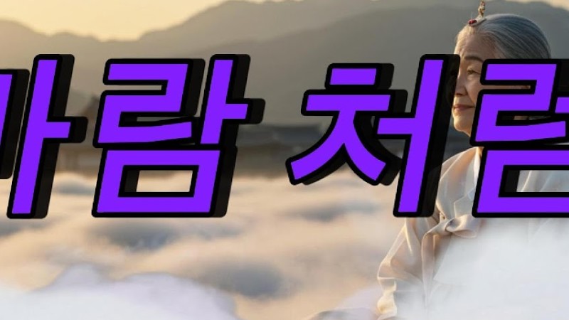 바람처럼  | 지친 마음을 다독이는 세월의 노래