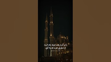 استغفر الله ان الله غفور رحيم || مواساة ربانية💜🌸 || القارئ عبدالرحمن مسعد || حالات واتس || قران كريم