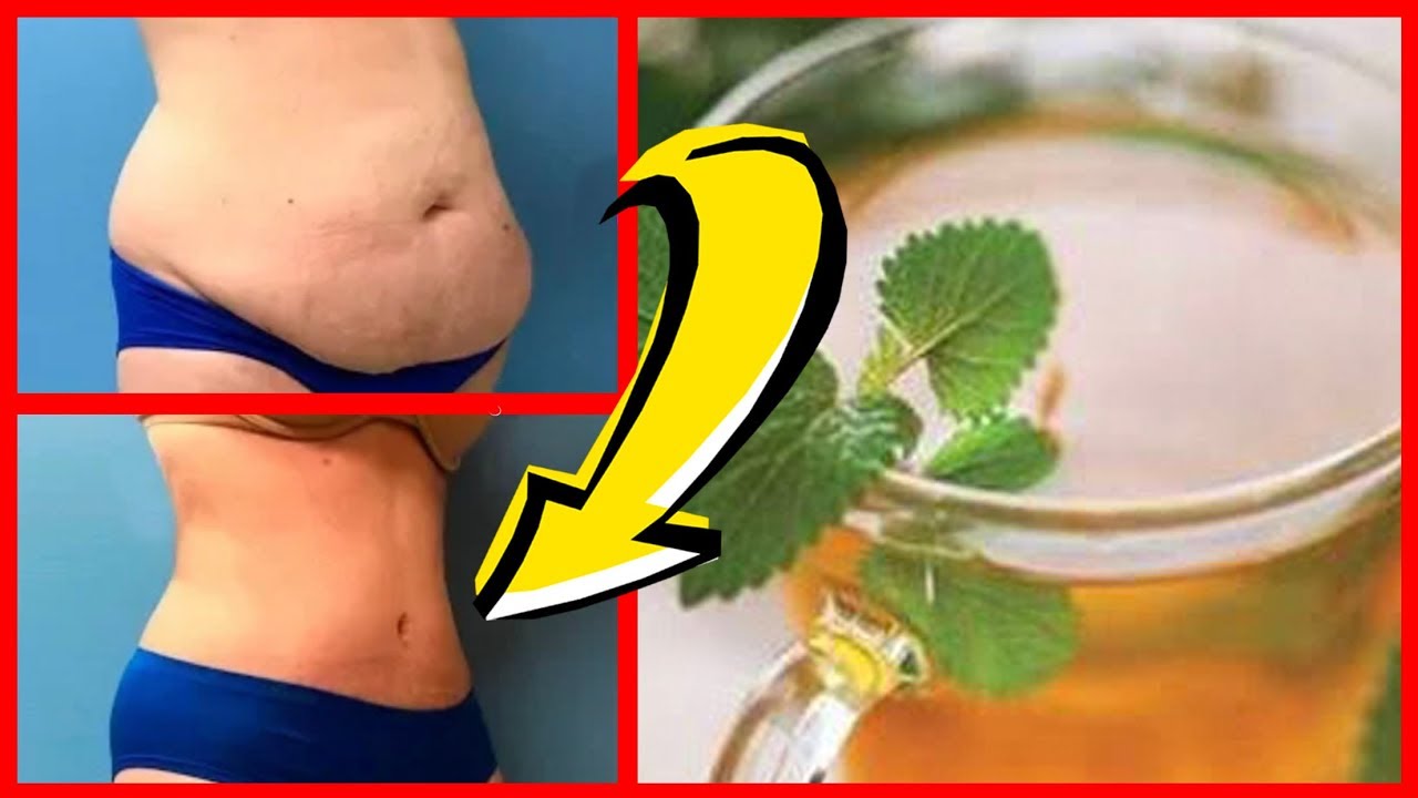 como-emagrecer-5-kilos-em-1-semana-com-a-dieta-do-or-gano-emagrecer