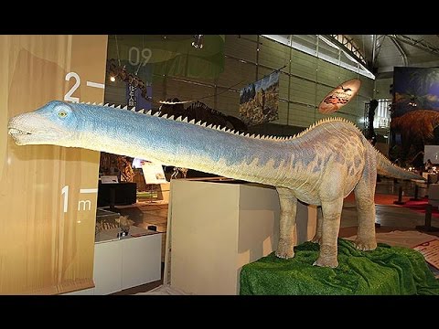 メガ恐竜展２０１５ 巨大化の謎にせまる 竜脚類 中心に化石など２５０点展示 Youtube