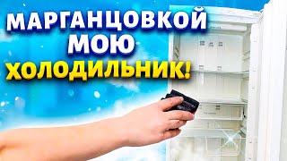 Век живи - Век учись! Отмыть холодильник от жира, грязи, запаха, плесени. Убрать желтизну с пластика