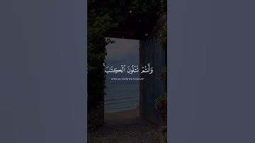 القارئ عمير شميم