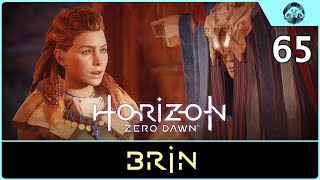 HORIZON - Zero Dawn #65: Brin