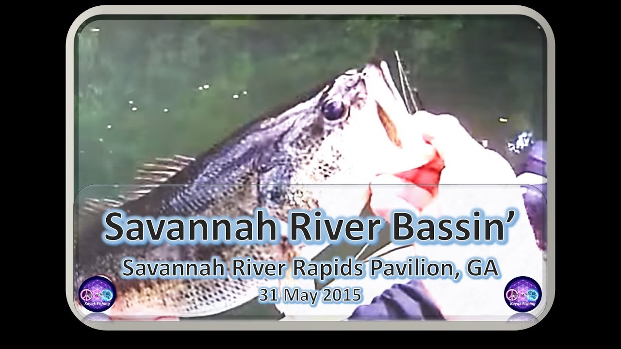 BIG Largemouth and Smallmouth on the Savannah River, Kayak Fishing, 10 MAY 2015 - YouTube