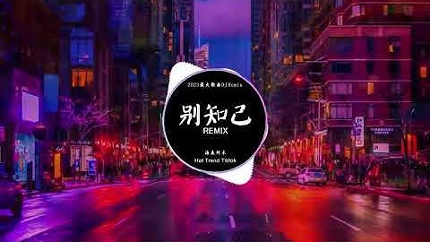 海来阿木 - 别知己 Biệt Tri kỷ (DJ抖音 Remix)【抖音热门歌曲】『月亮冷冷地挂在天上, 它也知道明天将是一场离别。』抖音 Hot Tiktok Douyin | Baozhang