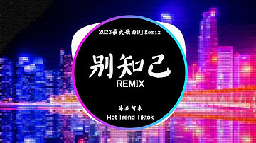 海来阿木 - 别知己 Biệt Tri kỷ (DJ抖音 Remix)【抖音热门歌曲】『月亮冷冷地挂在天上, 它也知道明天将是一场离别。』抖音 Hot Tiktok Douyin | Baozhang