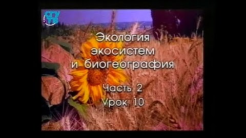 Урок 2.10. Мир экосистем