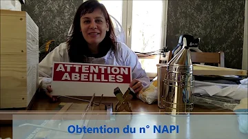Où se procurer des abeilles ?