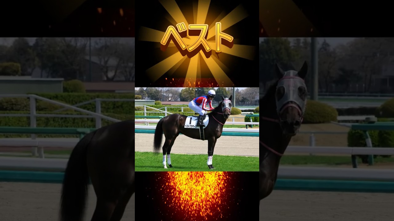 【これ馬！】土日のレース(5月9日)を見返して、注目馬を見つけるコーナー No.4　#競馬 #競馬予想 #競馬予想