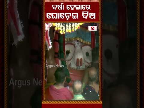 ବର୍ଷା ହେଲାରେ ଘୋଡ଼େଇ ଦିଅ | Rath Yatra 2026 | Puri Rath Yatra | Lord Balabhadra Pahandi | Argus News