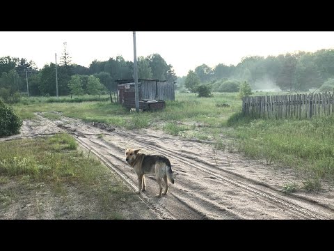 Село Переброди місце де живе душа Село яке зникає СЕРІЯ 1