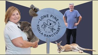 One of THE BEST Places to Visit in Brisbane Lone Pine Koala Sanctuary | Americans visiting Australia