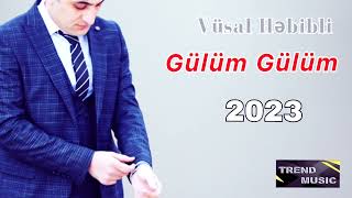 Vusal Hebibli - Gülüm Gülüm 2023 Resimi