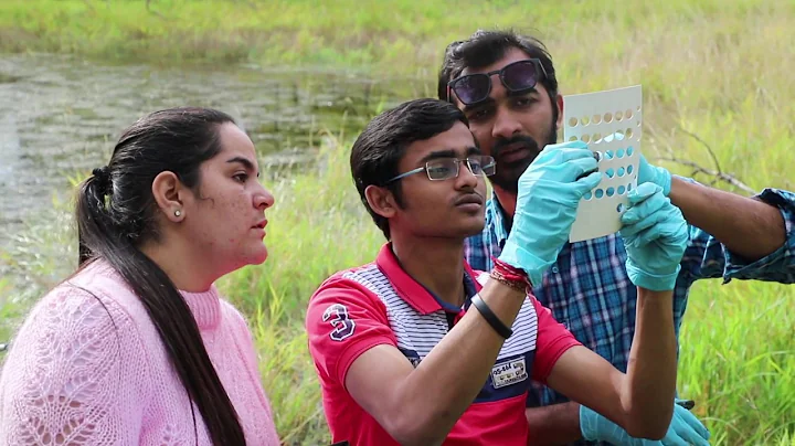 Environmental Sciences | Wetland Classification