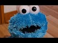 2007 Fisher Price T M X Friend Cookie Monster