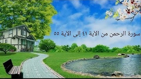 سورة الرحمن من الآية 41 إلى الآية 55 مع تتبع القلم