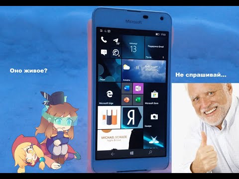 Можно ли выжить на Windows Phone в 2023 году? Или почему ему нужен был Фил Спенсер в свое время