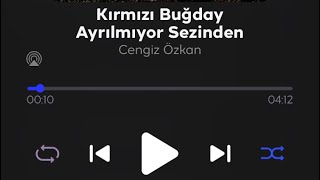 Thm - Kırmızı Buğday Ayrılmıyor Sezinden (Cengiz Özkan) Resimi