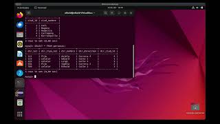 Implementación Cliente-Servidor con Sockets en Java y Base de Datos MySQL
