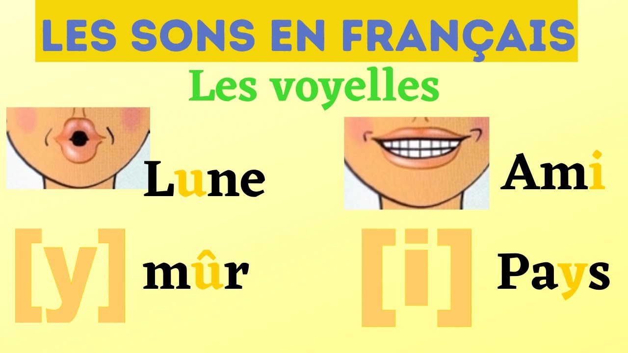LES SONS [i] et [y] (leçon 2)