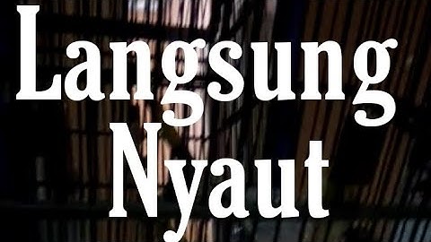 kenari gacor | Video Kenari Gacor 1 durasi 1 Menit