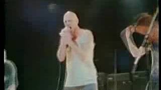 Midnight Oil - No Time For Games - LIVE 1982 chords