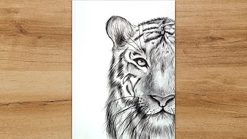 How to Draw Tiger Face Step by Step | White Tiger Close Up