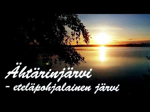 Video: Mistä joutsenjärvessä on kyse?